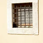Vino