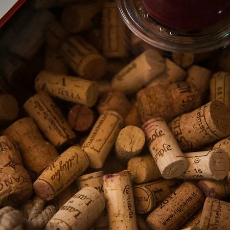 Vino *