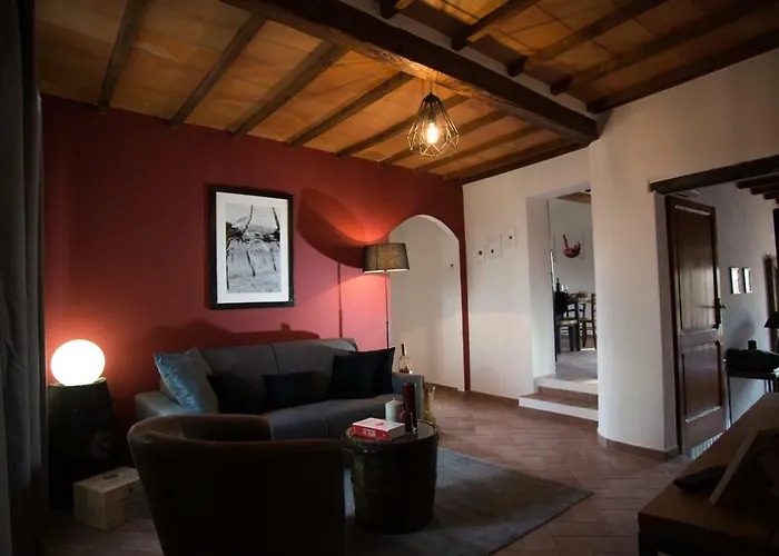 Vino 산퀴리코도르시아