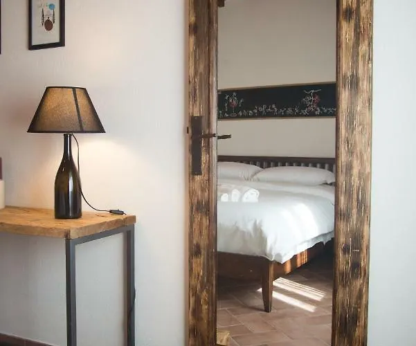 Vino 산퀴리코도르시아