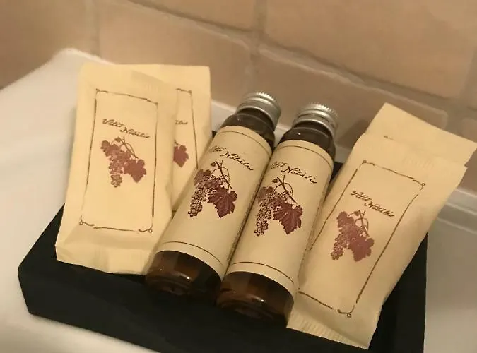 Vino 아파트 산퀴리코도르시아