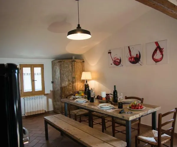 Vino * 산퀴리코도르시아