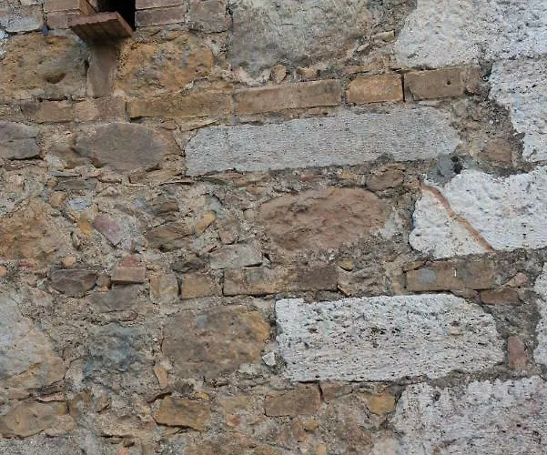 Vino * 산퀴리코도르시아