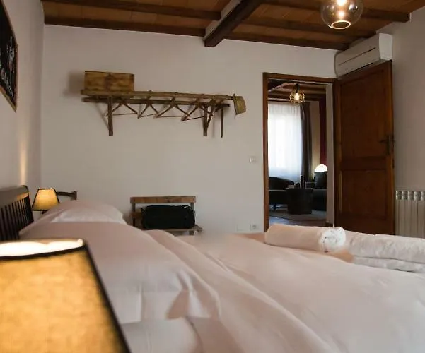 Vino 산퀴리코도르시아